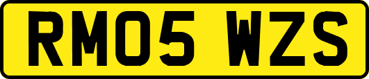 RM05WZS