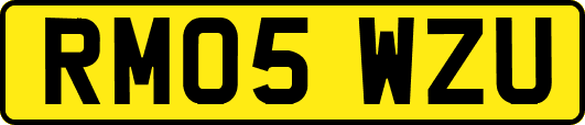 RM05WZU