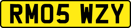 RM05WZY