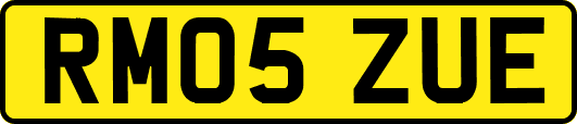 RM05ZUE