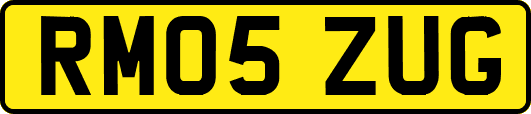 RM05ZUG
