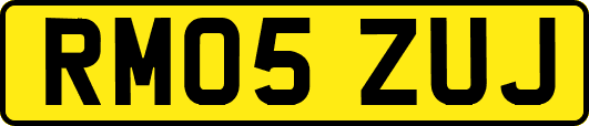 RM05ZUJ