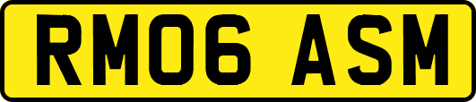 RM06ASM