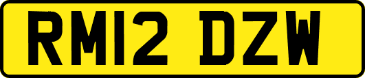 RM12DZW