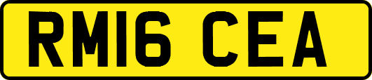 RM16CEA