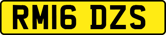 RM16DZS