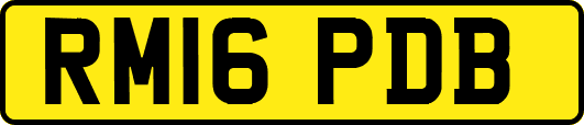 RM16PDB