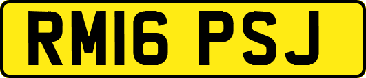 RM16PSJ