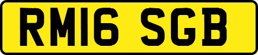 RM16SGB