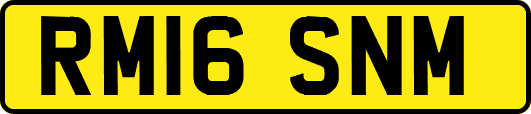 RM16SNM