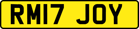 RM17JOY