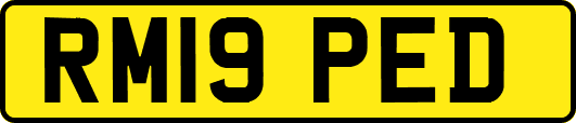 RM19PED