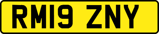 RM19ZNY