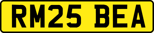 RM25BEA