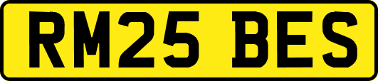 RM25BES