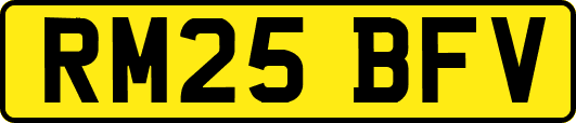RM25BFV