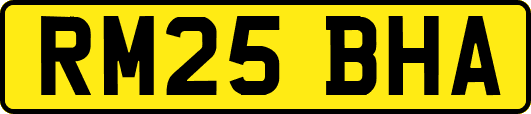 RM25BHA
