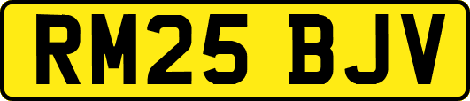 RM25BJV