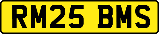 RM25BMS