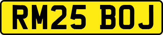 RM25BOJ