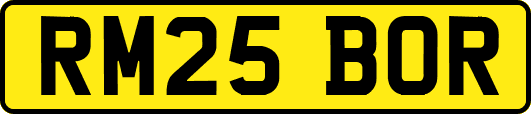 RM25BOR