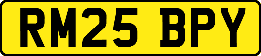 RM25BPY