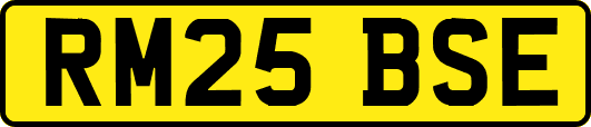 RM25BSE