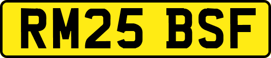 RM25BSF