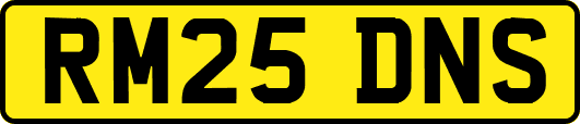 RM25DNS