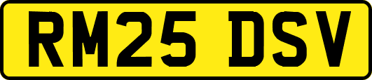 RM25DSV