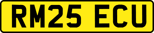 RM25ECU