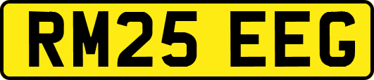 RM25EEG