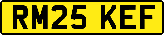 RM25KEF