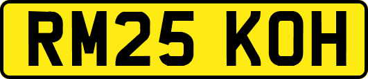 RM25KOH