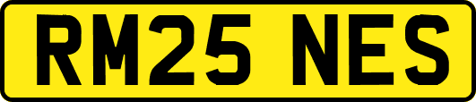 RM25NES