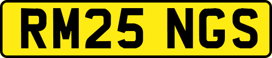 RM25NGS