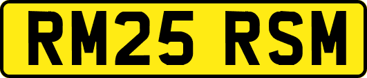 RM25RSM