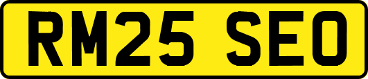 RM25SEO
