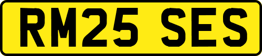 RM25SES