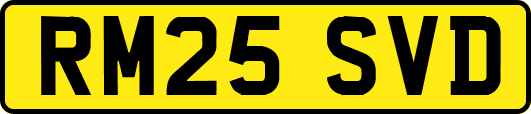 RM25SVD