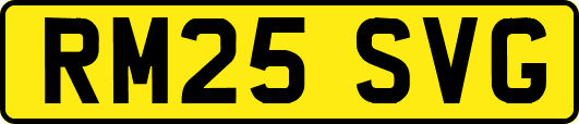 RM25SVG