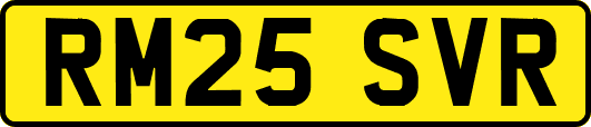 RM25SVR