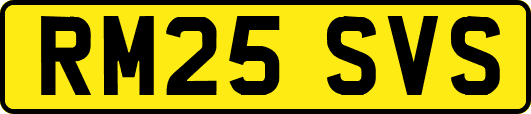 RM25SVS