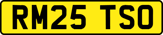 RM25TSO