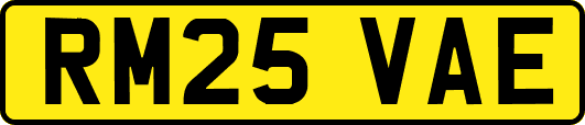 RM25VAE