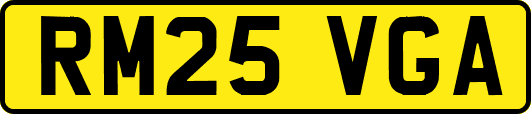 RM25VGA