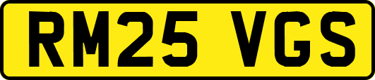 RM25VGS