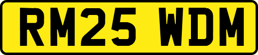 RM25WDM