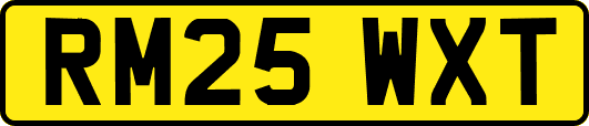 RM25WXT