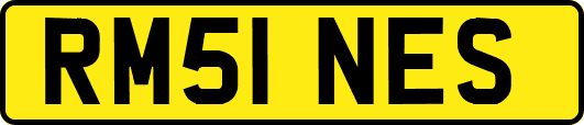 RM51NES